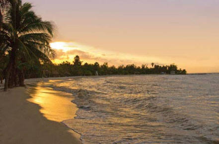 Another Jamaican Dawn