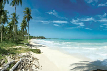 Jamaican Beach
